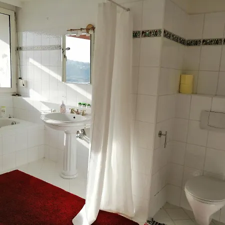 Cozy Appartament In Urfahr * Linz